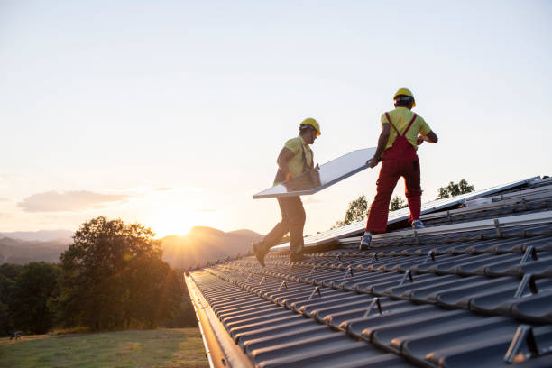 Best Skylight Installation and Repair  in Westernport, MD