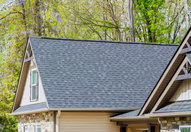 Best Roof Ventilation Installation  in Westernport, MD